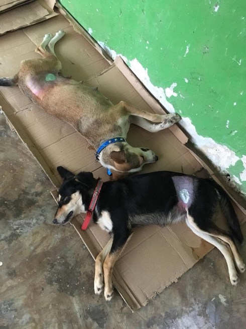 1724E26D-880C-4941-83BA-50F83B478B19