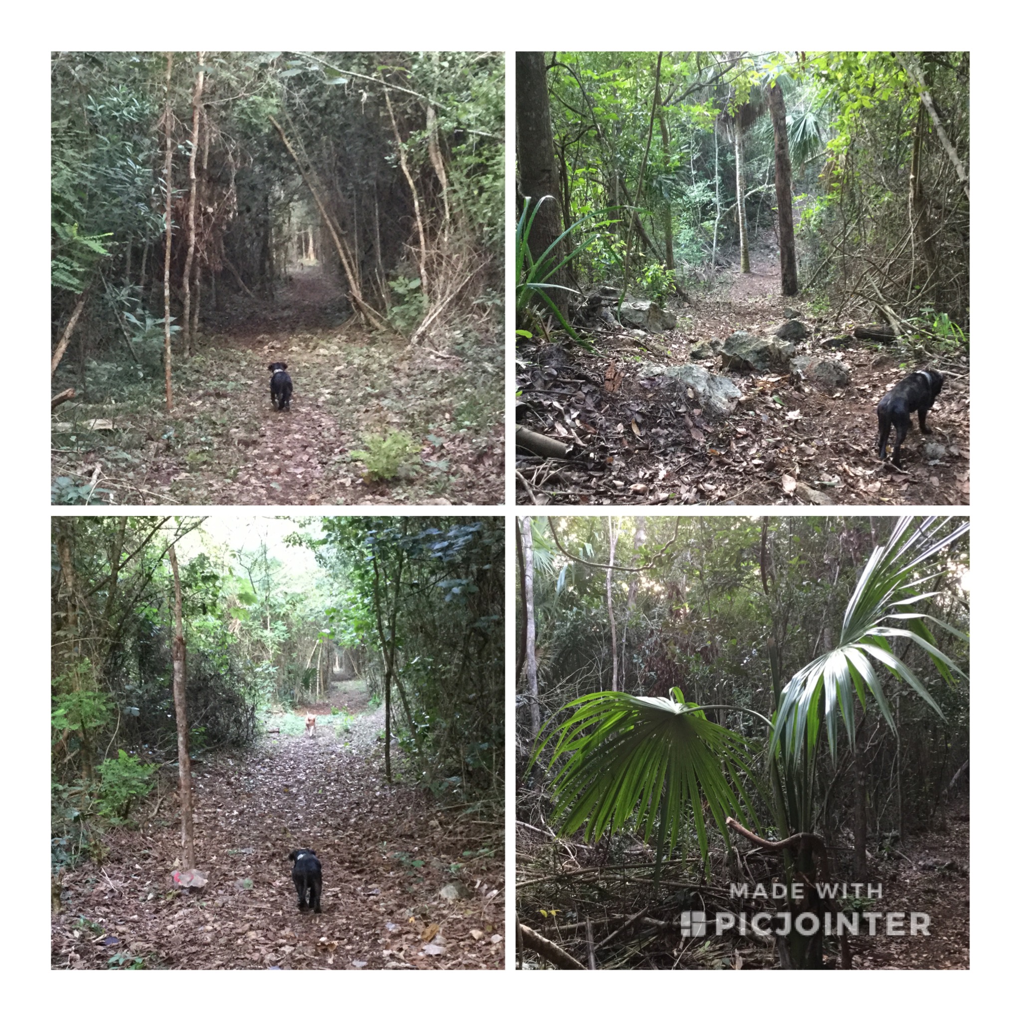 440CF11C-9A72-471B-BB72-F8E84F3635E0