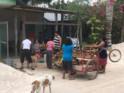 563F4677-7737-47C3-AD88-25B00D328DC5