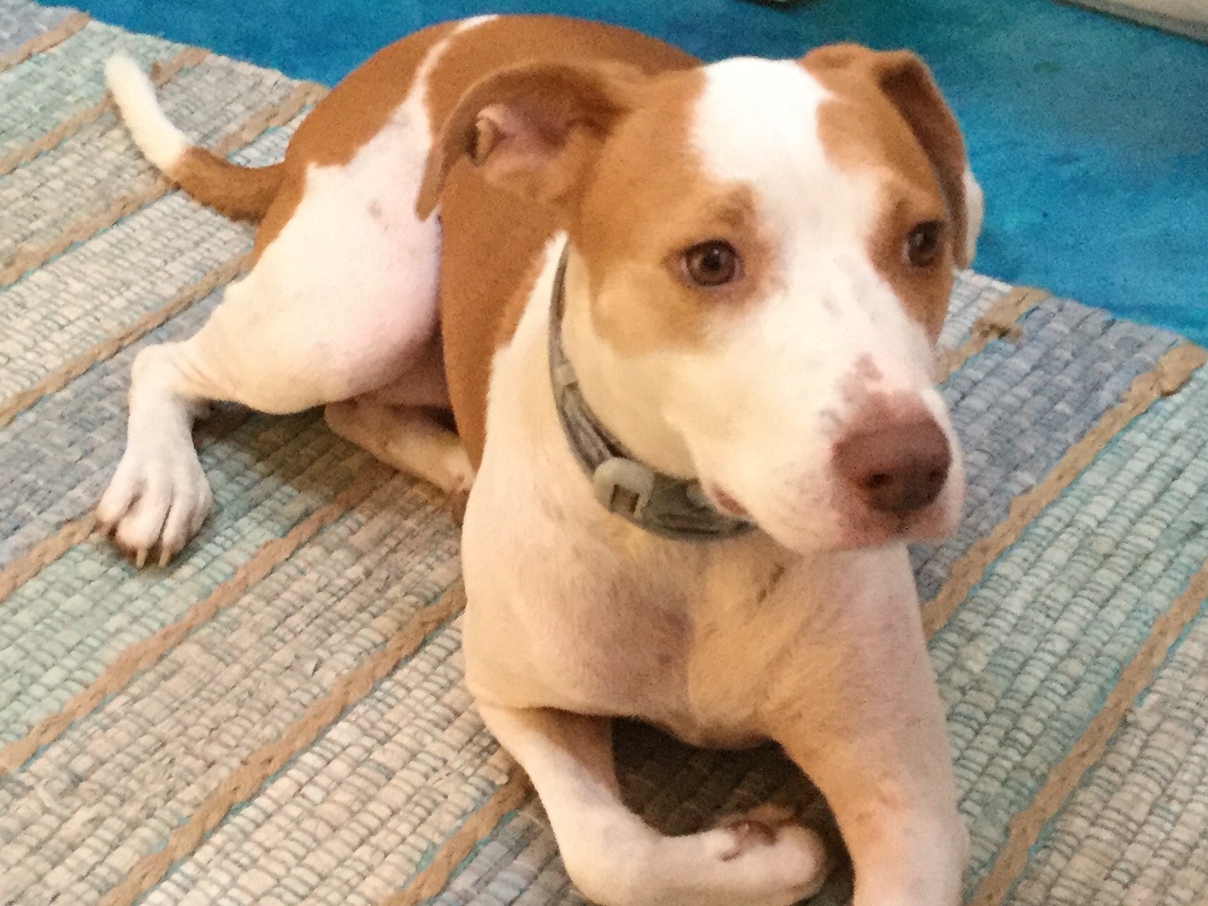 75E1743B-2EA9-48BA-B7BF-9E4BDC2482EF