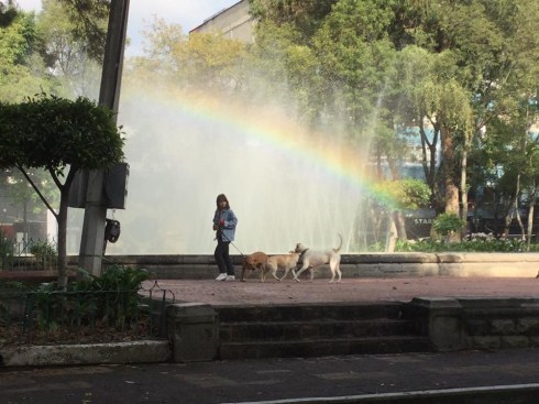 7C48C663-A7E4-421A-95DB-29072F90A185