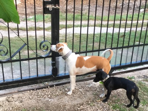 893C72E8-E579-4AD9-B551-4AE43015E6AC