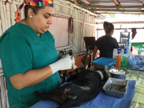 961C29CF-79C2-4535-813E-16401892E366