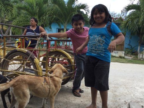 D3D63AC9-CFF6-48D1-9C10-42D652CD8570