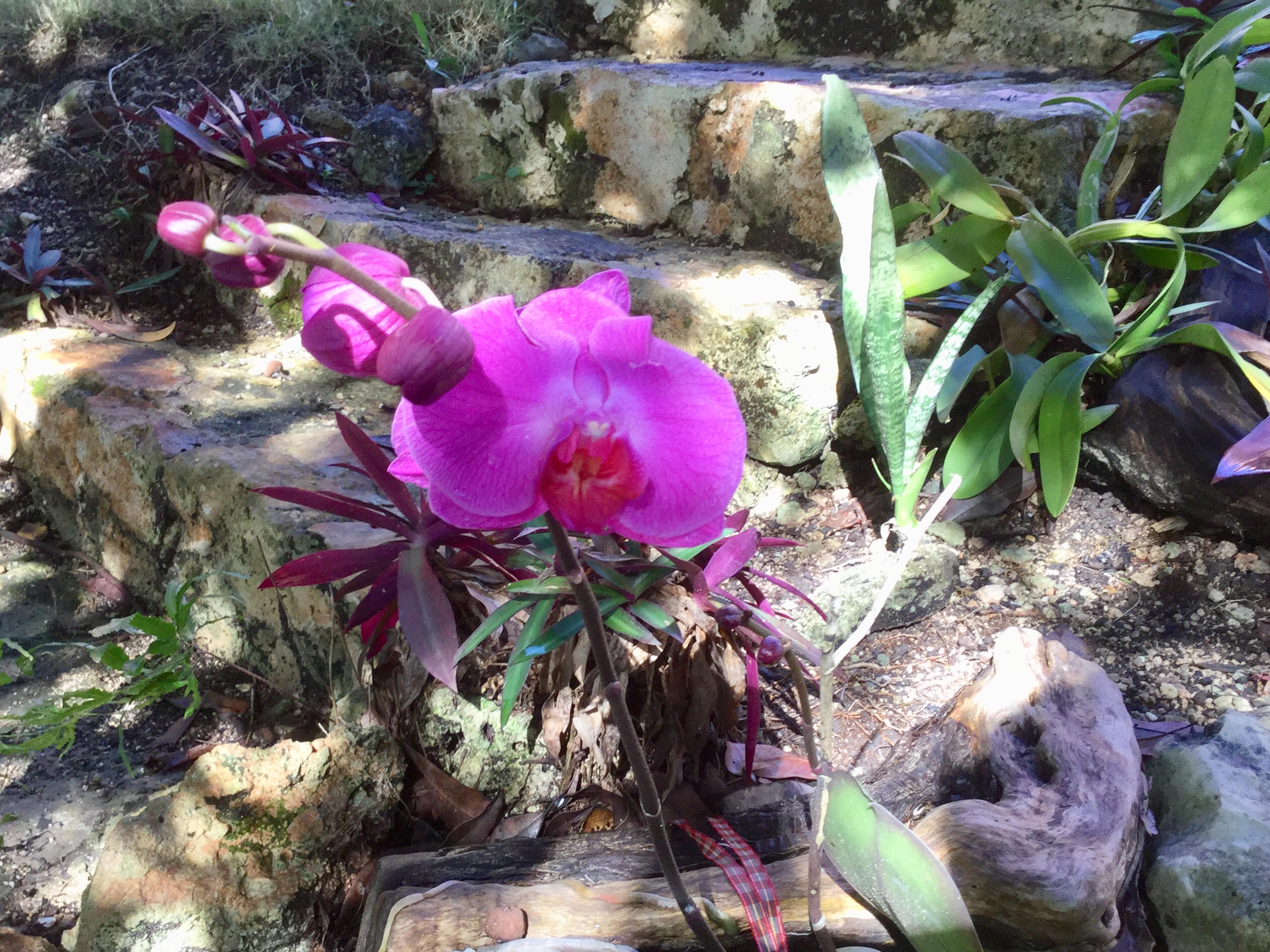 DE37C2FC-8845-4278-9705-194DF1A13AB5