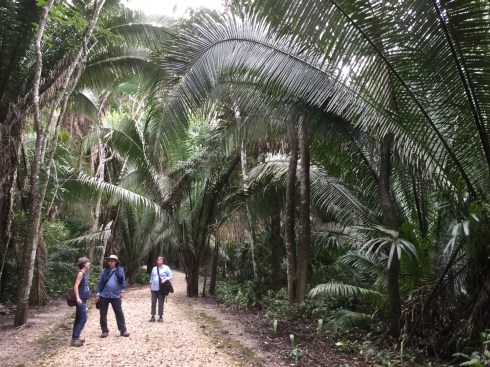 6C1B2B78-F862-4BF1-B02D-EFBAD3716476