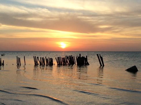 9D86C329-B790-449D-8007-138F5C0A14A3