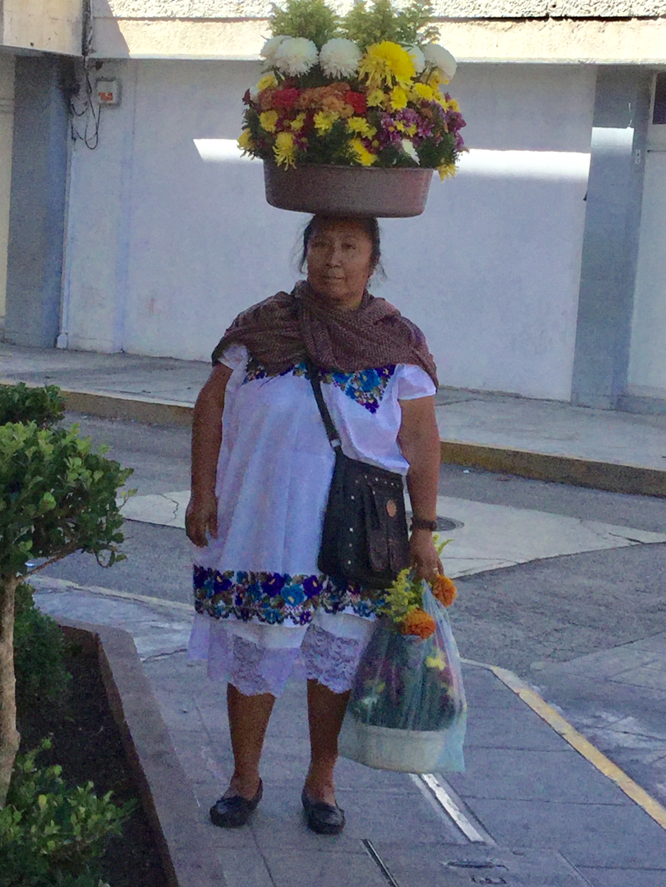 C301FA1C-FFAB-4696-8475-A8148F910194