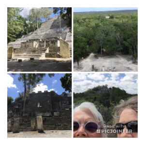 0082BB81-7408-4A34-BD80-ED950C3440B5