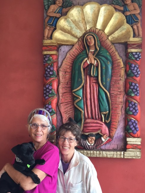 289E962C-67B5-4F4A-B54B-561F7B8CB31F