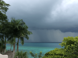 2FD8FB90-AEE8-4D76-97AB-334FF4A6A90D