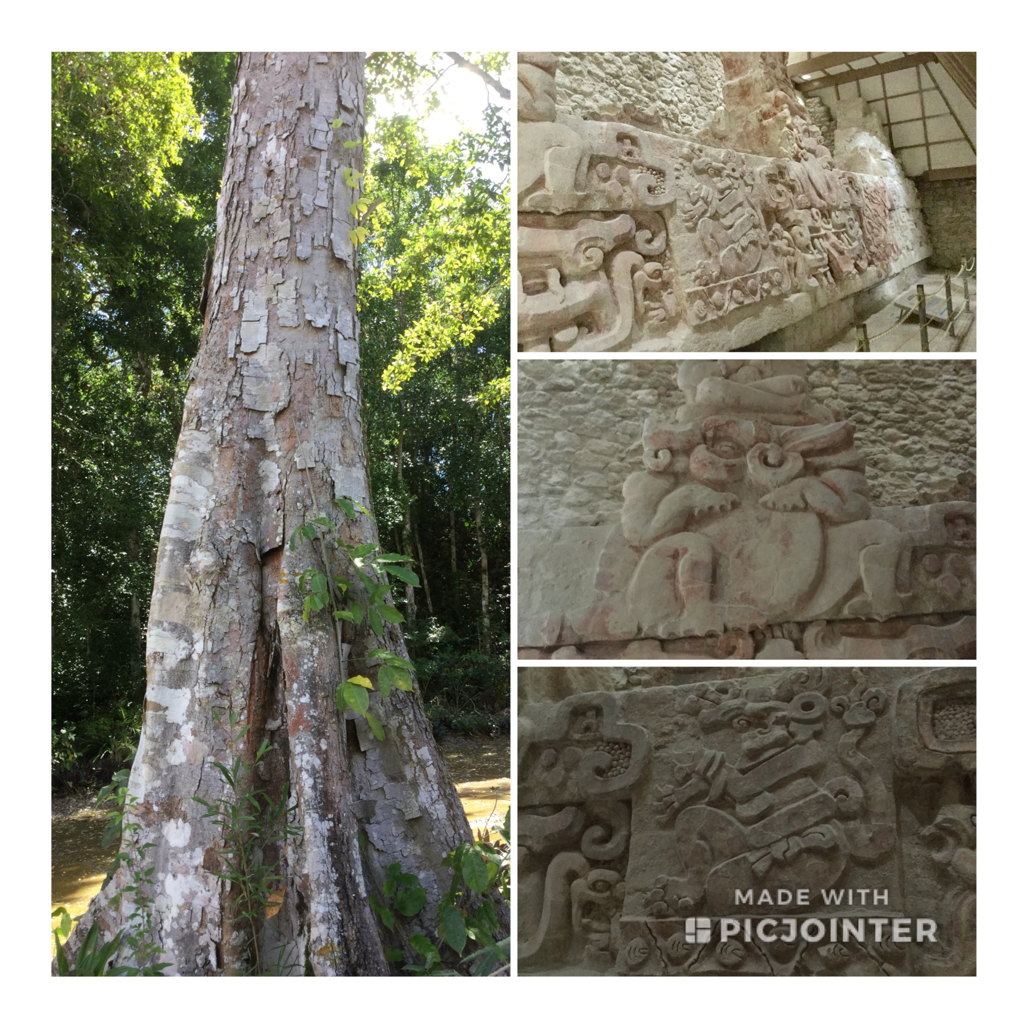 A86DFF85-401B-44CA-BC4E-70E7E6E033CE