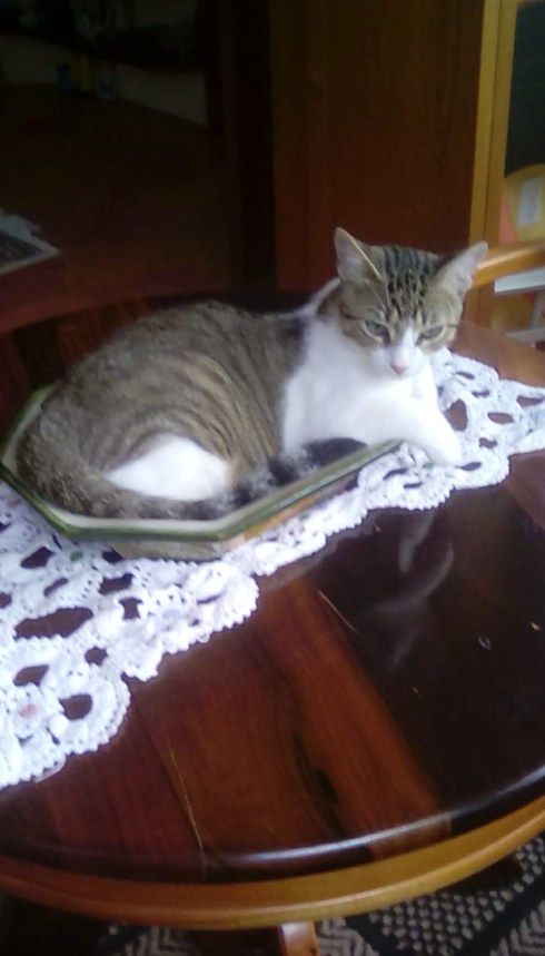 46359094-2CC7-4B15-929A-683C667CB980