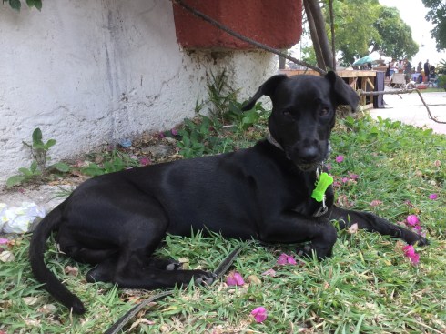 4EF18F00-A812-41D4-B704-DC4601A6D578