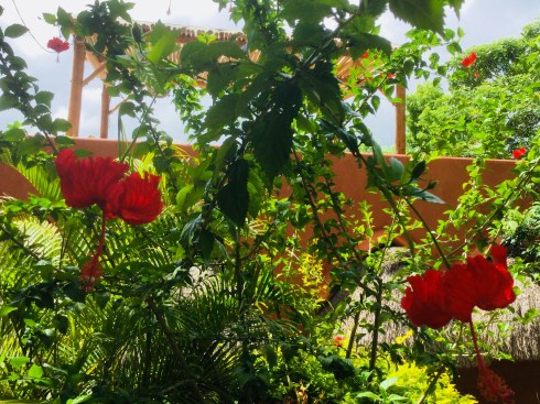 84DFCB0F-0D67-4CFE-8CC7-AAF35B45DBE8