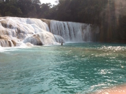 A31F9D2A-E119-4475-8A67-547768662620