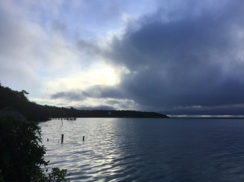 F64F5A7E-0612-4A81-A49C-25F64D759497