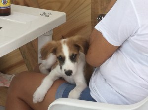 1D236890-F850-4441-9E56-783F15980ADE