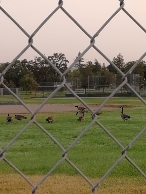 9AD4B573-989C-4DE8-B365-5C89E9F359EE