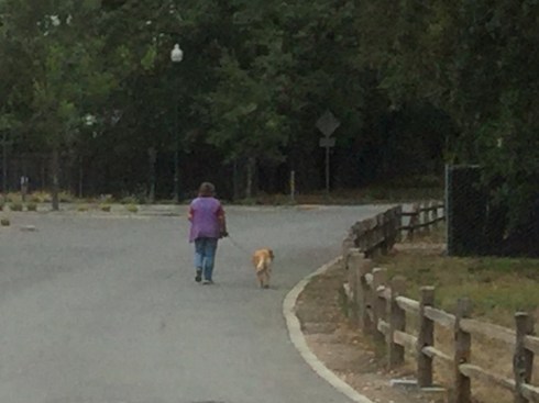 DF320DF5-ACFB-4DEF-B436-922D9F1E222C