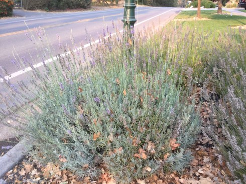 15ECD516-4C01-4CBF-9AF9-BCD36E76019A