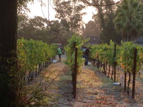 4CC2CD8A-6274-48BB-AE36-38FC22AF0B33