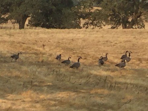 5B8E1968-0200-4DAF-9927-CF1AAB3F3D19