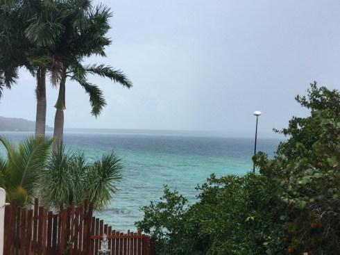 66716557-7BE0-4FDF-ACFA-F4158552BE9A