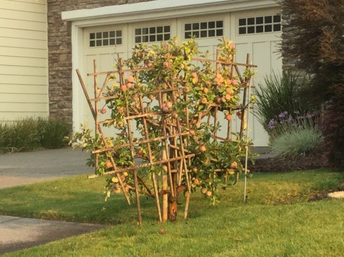 97AB9A57-74FC-4544-A4BE-932CFAF7E40C