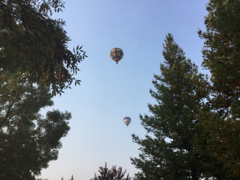 9FC91AA4-94C4-487F-BBB5-660DB37C3A9D