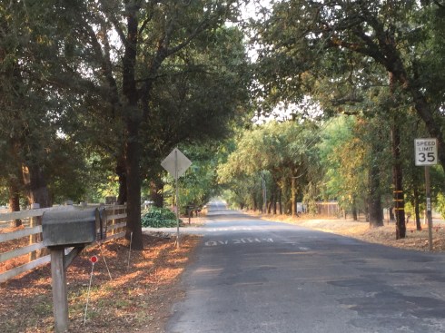 F70A6C4A-4414-4060-8247-12246196530F