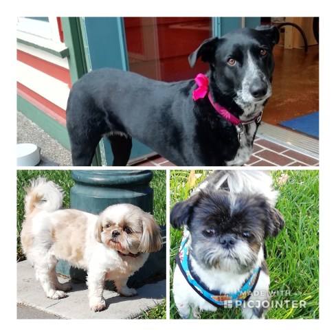 02C4E9C6-B451-4C9F-97B2-0241A4468BE9