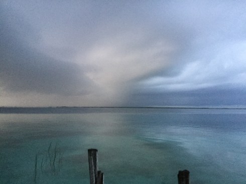 2348B92B-34BD-4D0D-8861-2288A9A07FB9