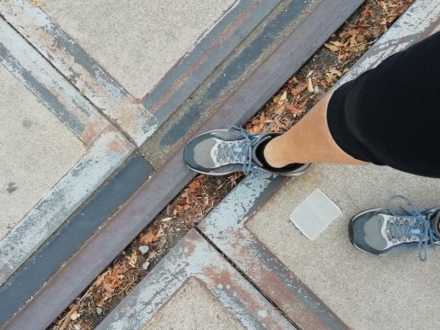 67C86DE1-A121-4ED5-BD14-89E4AFD01253