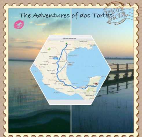 8D6FAFE2-E64F-46F2-A76D-AD56BE2F71A5