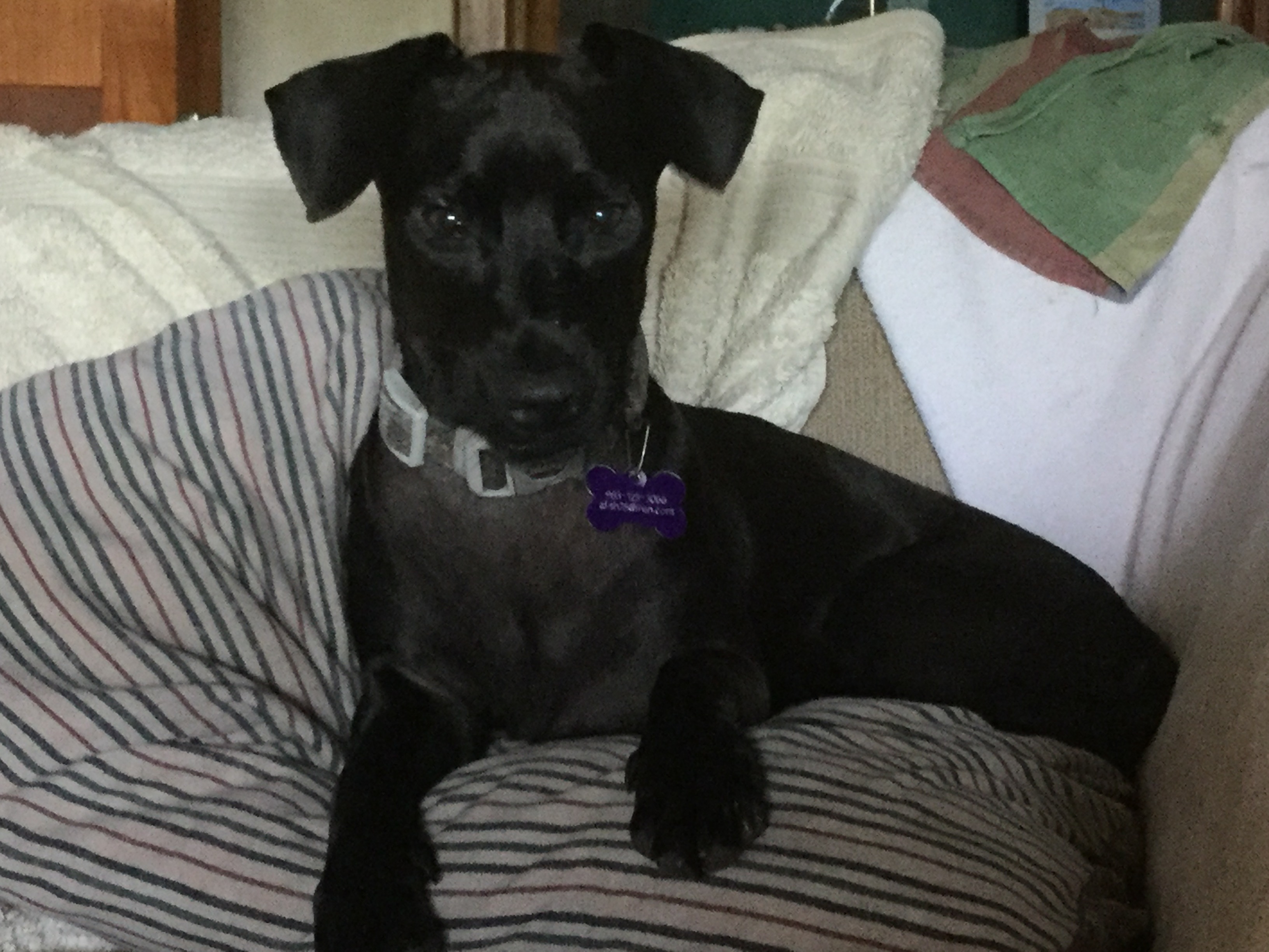 71F4E890-F379-49FC-8A73-8B93B151F4FA