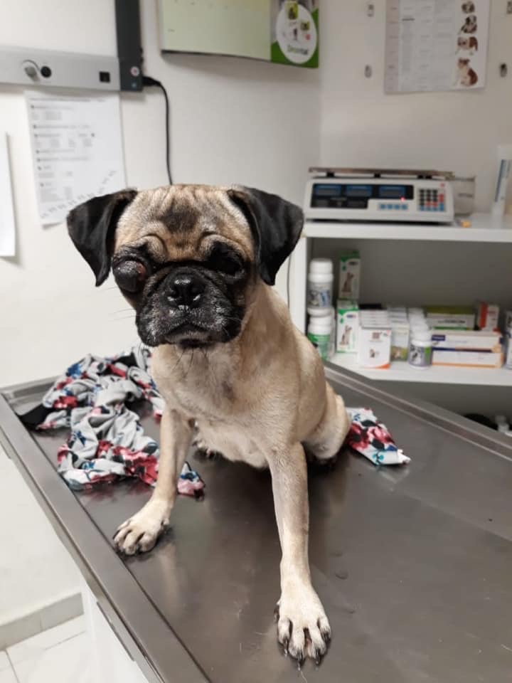 E7D1B4F9-8B78-458D-AF0E-8425EEA75021